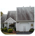 Soft Wash Your Asphalt Roof and Be rid of Mold & Algae with BlueSky Power Washing